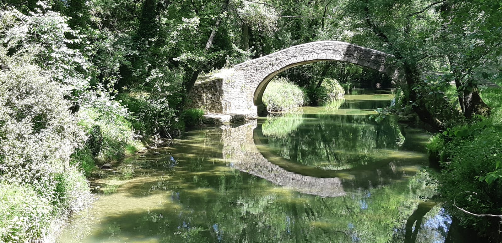 Un pont à croquer