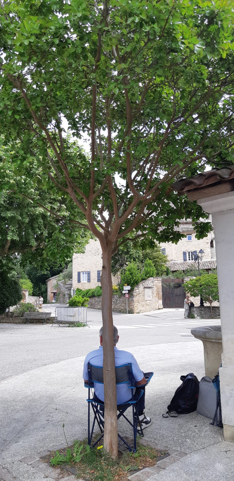 Bien planqué derrière l'arbre