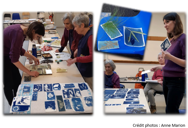 Cliquez ici pour agrandir l'image Stage Cyanotype